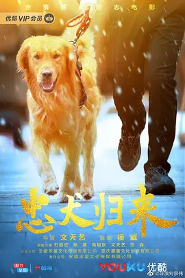 忠犬归来