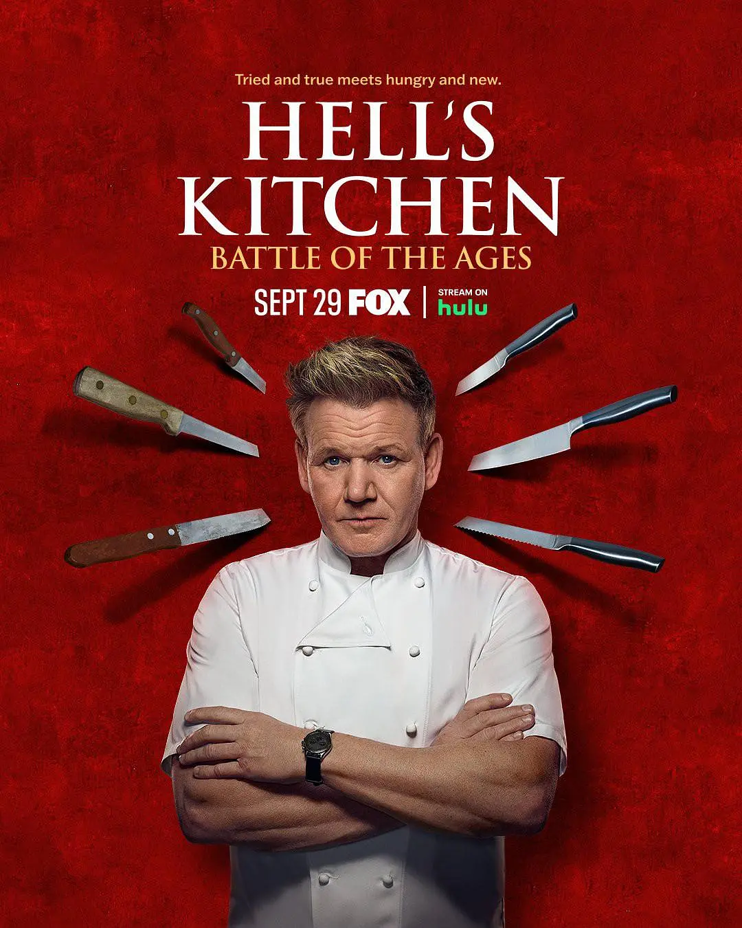 地狱厨房(美版) 第二十一季 HELL&amp;amp;#39;S KITCHEN: BATTLE OF THE AGES Season 21